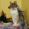 Отзыв от Валентина Горбачева